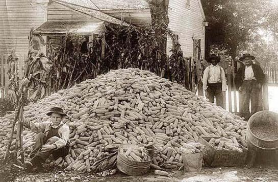 Two men and a boy with a large pile of corn. It was made in between 1909 and 1932.