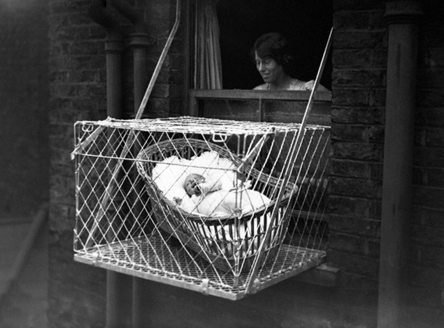 baby-cage-1.jpg