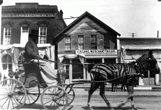 Circus in Salem 1898