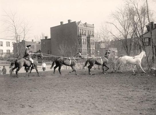 Society Circus Horses. It was made between 1910 and 1917